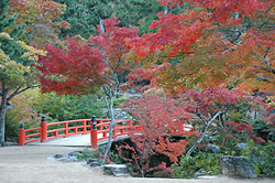 紅葉谷公園