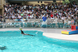 宮島水族館